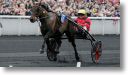 hippisme-le-trotteur-francais-bold-eagle-remporte-le-96e-prix-d-amerique-a-vincennes.jpg